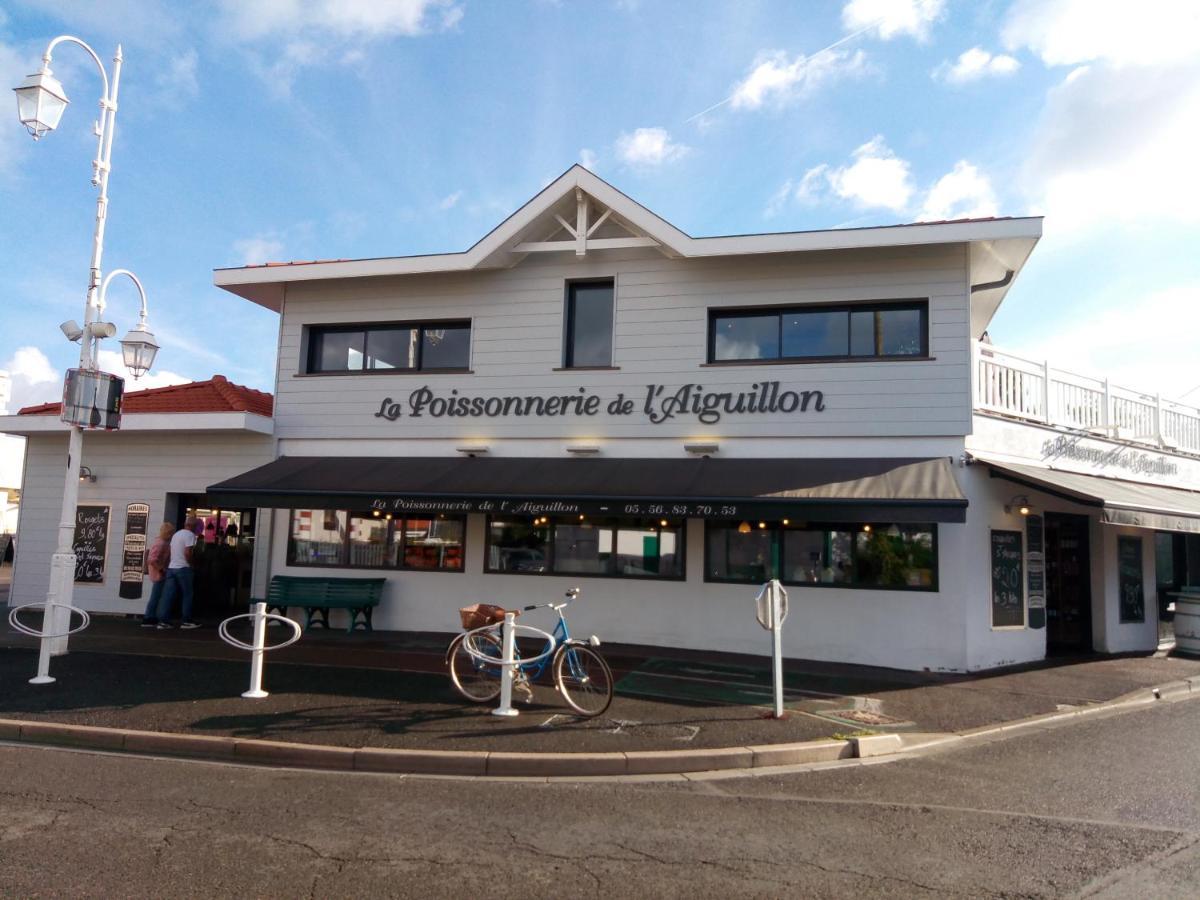 Apartament L' Albatros Arcachon Zewnętrze zdjęcie